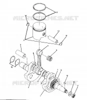 VILEBREQUIN AND PISTON ASSEMBLY (4916361636037A)