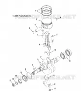 VILEBREQUIN AND PISTON