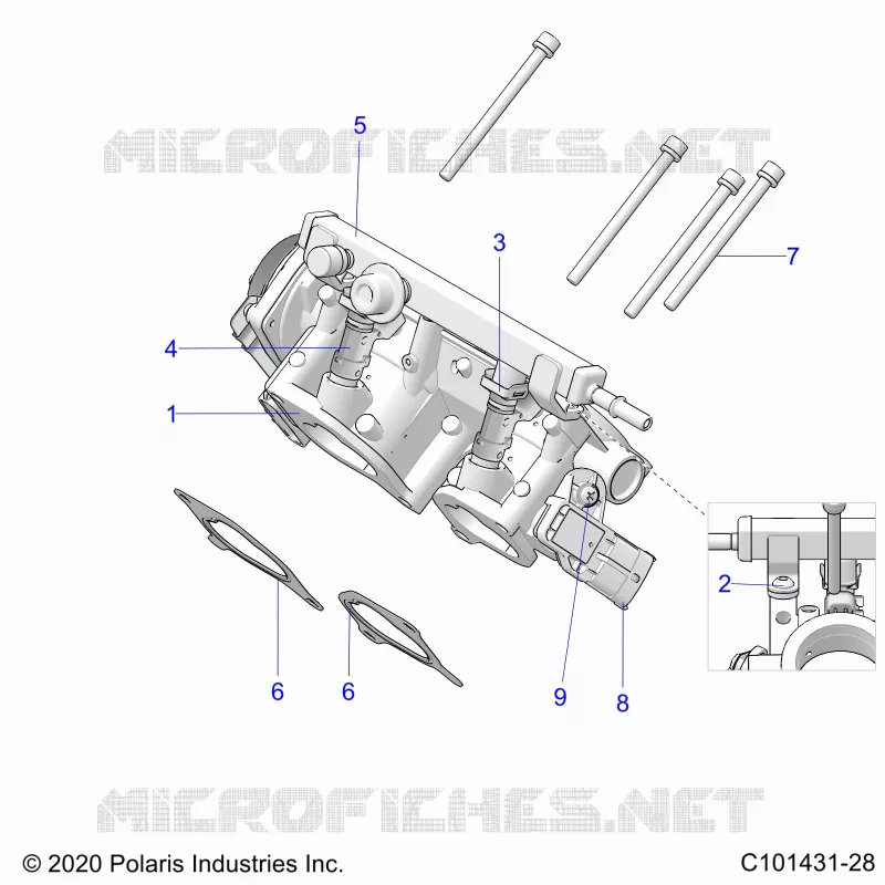 ENGINE, CORPS DE PAPILON