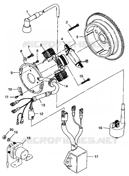 STATOR