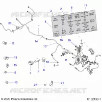 ELECTRICITE, HARNESS