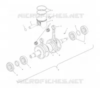 PISTON ET VILEBREQUIN (800)
