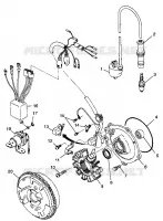 STATOR