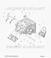 ENGINE, INTAKE MANIFOLD, CORPS DE PAPILON, FUEL RAIL