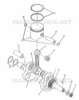 VILEBREQUIN AND PISTON ASSEMBLY 250 4X6 / W928627 (4922902290040A)