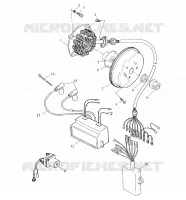 STATOR