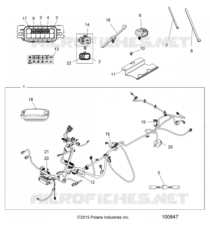 ELECTRICITE, HARNESS