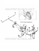 ELECTRICITE, HARNESS