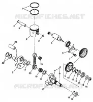 PISTON ET VILEBREQUIN SPORT 400L W98BA38C (4947234723C013)
