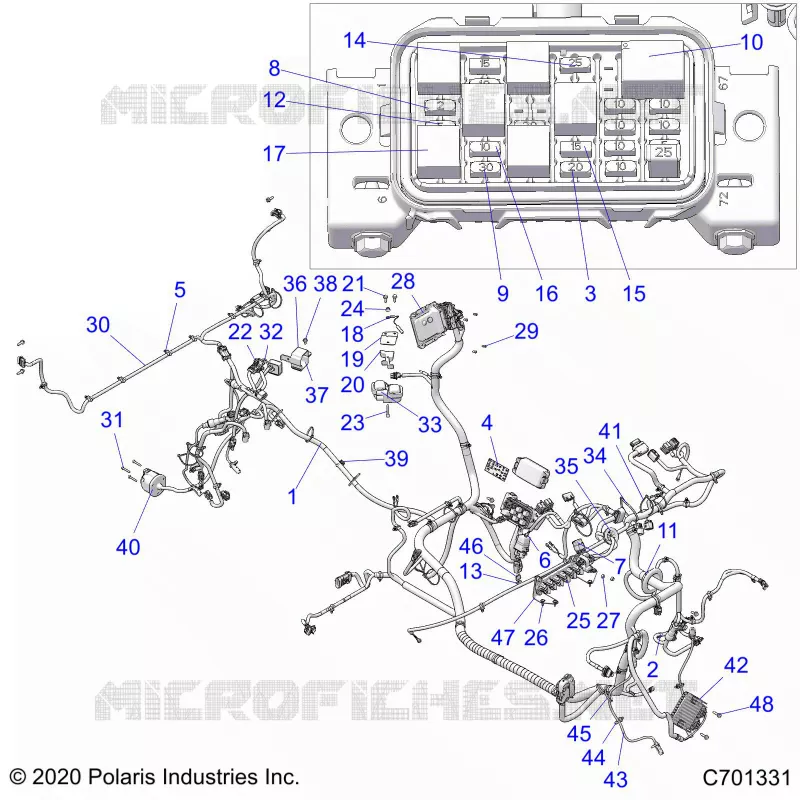 ELECTRICITE, WIRE HARNESS