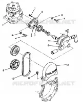 POMPE A EAU Storm E940782 and Storm SKS E940582 (49274427440033)