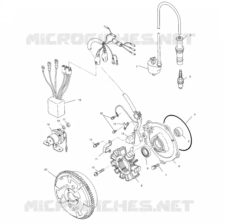 STATOR