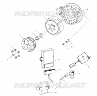 STATOR