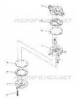 VILEBREQUIN AND PISTON