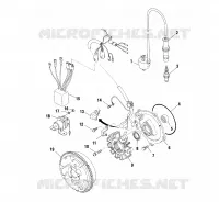 STATOR