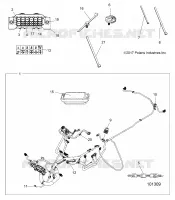 ELECTRICITE, HARNESS