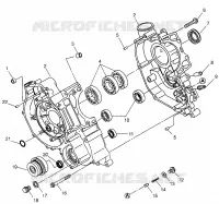 CARTERS MOTEUR  XPLORER 500 W97CD50A (4941354135D002)