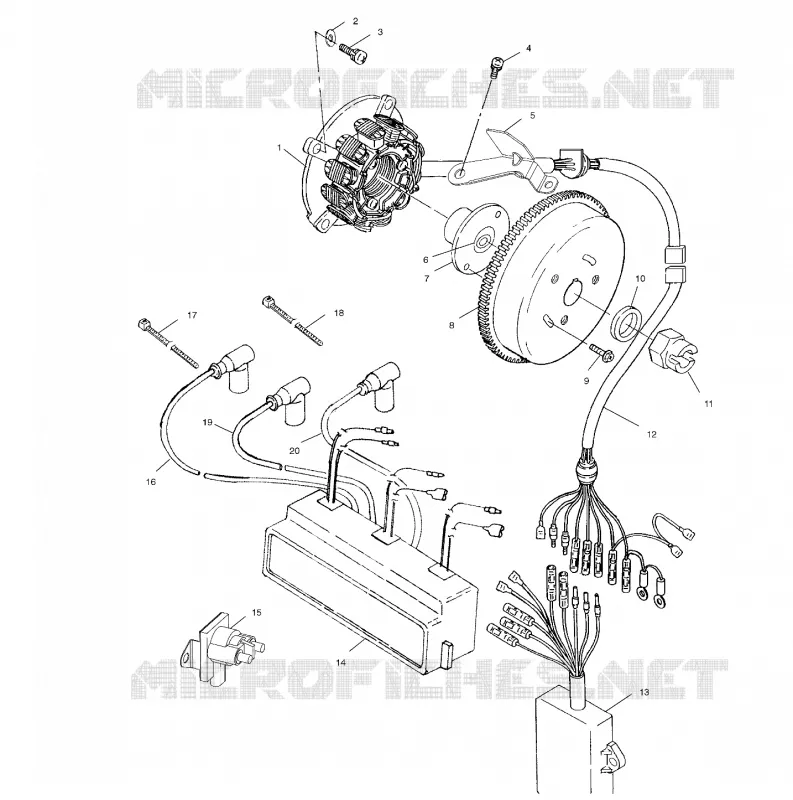 STATOR