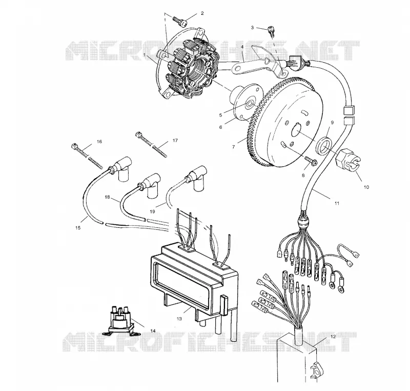 STATOR