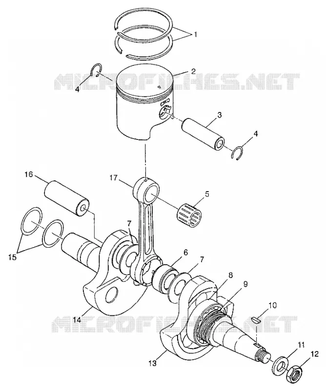 VILEBREQUIN AND PISTON XPLORER 300 W97CC28C (4939813981C012)