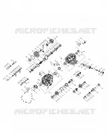 DRIVE TRAIN, PONT PRINCIPAL INTERNALS
