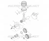 VILEBREQUIN AND PISTON
