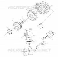 STATOR