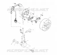 STATOR