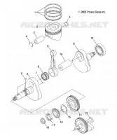 VILEBREQUIN AND PISTON