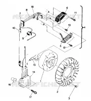 STATOR Sport (4912701270039A)
