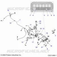 ELECTRICITE, HARNESS