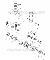 PISTON AND VILEBREQUIN (TRAIL) (4910941094034A)