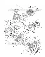 CARTERS MOTEUR AND CYLINDRE SPORTSMAN 4X4 W958040 (4930403040C013)