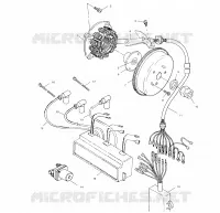 STATOR