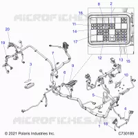 ELECTRICITE, WIRE HARNESS