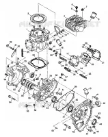 CARTERS MOTEUR AND CYLINDRE XPLORER 400L W98CC38C (4945414541C013)