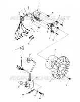 STATOR (STAR) (4910951095024A)