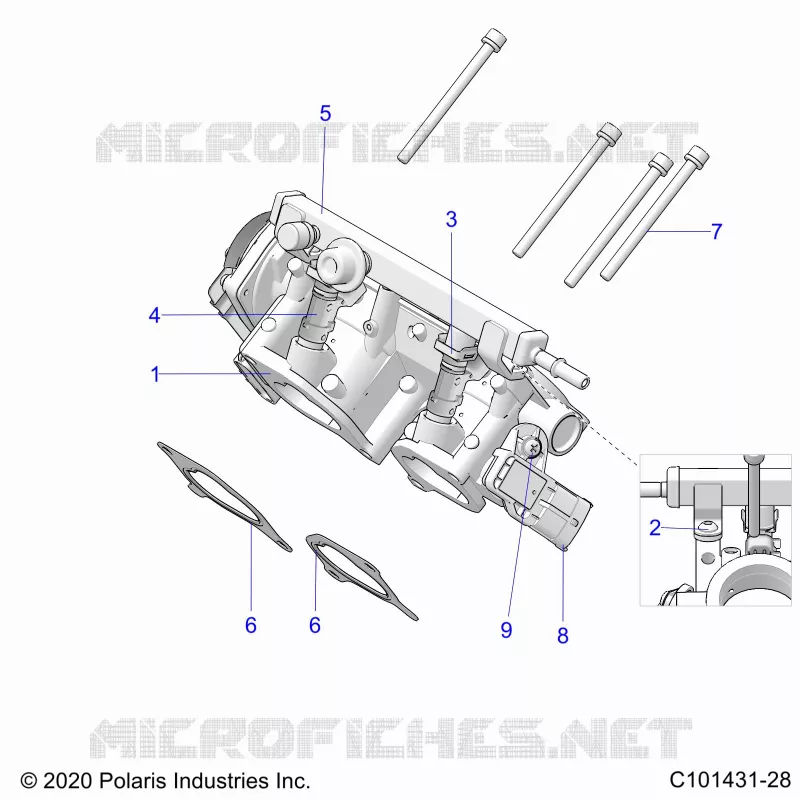 ENGINE, CORPS DE PAPILON