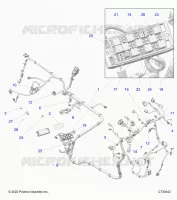 ELECTRICITE, WIRE HARNESS