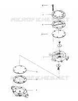CARBURANT PUMP (600 AND 600 SE) (4909500950051A)