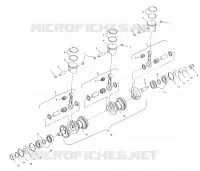 VILEBREQUIN AND PISTON