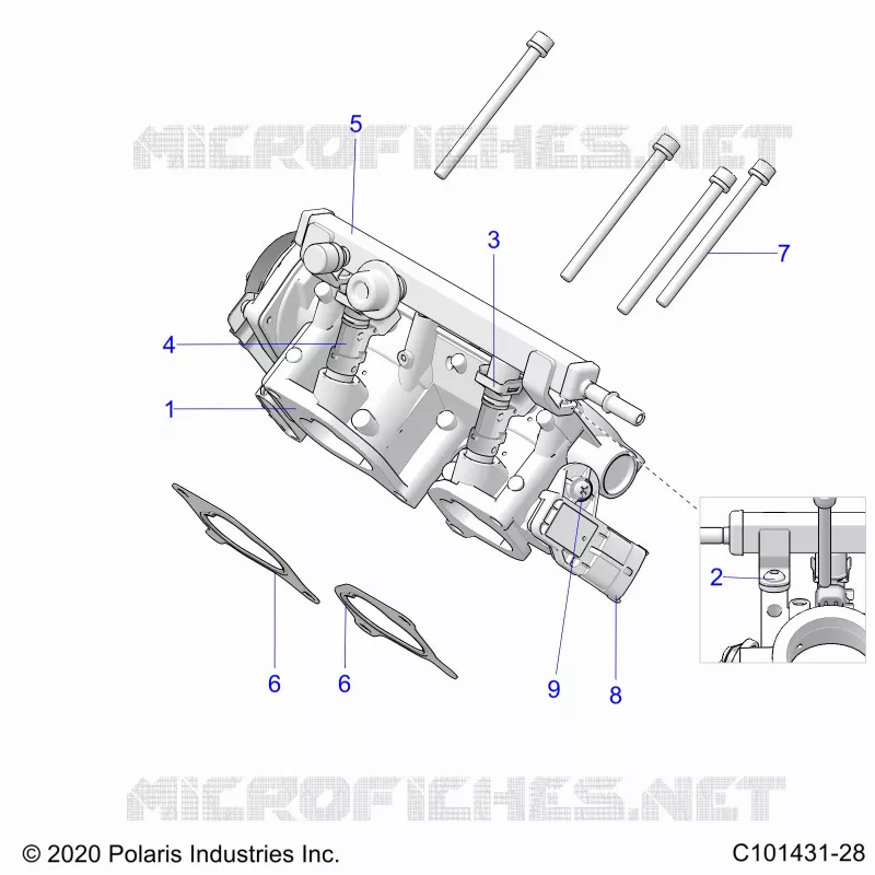 ENGINE, CORPS DE PAPILON