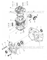 CRANKCASE AND CYLINDRE (STAR) (4910951095019A)