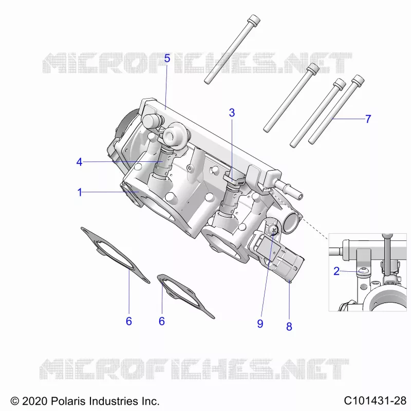 ENGINE, CORPS DE PAPILON