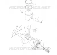 VILEBREQUIN AND PISTON