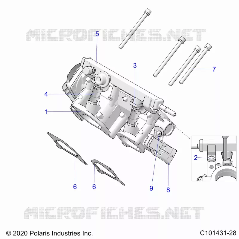 ENGINE, CORPS DE PAPILON