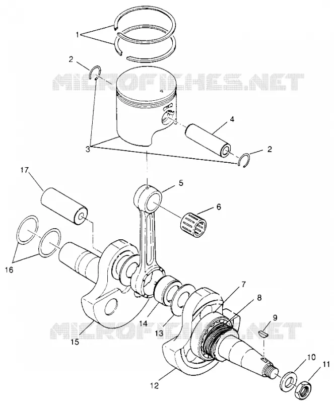 VILEBREQUIN AND PISTON XPLORER 300 W969130 (4935903590C012)