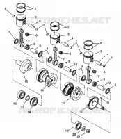 PISTON ET VILEBREQUIN XLT LTD 0973756 AND EUROPEAN XLT LTD E973756 (4937793779C006)