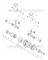 PISTON AND VILEBREQUIN (SS) (4909540954023A)