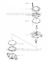 CARBURANT PUMP (600 AND 600 SE) (4909500950051A)